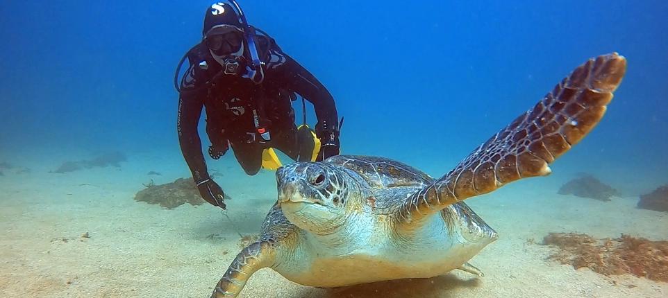 Sunrise Trips marsa alam