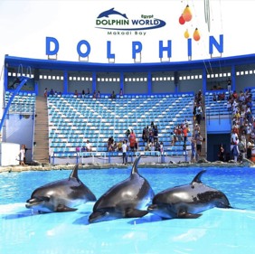 "Delfinariu Sunrise Tours